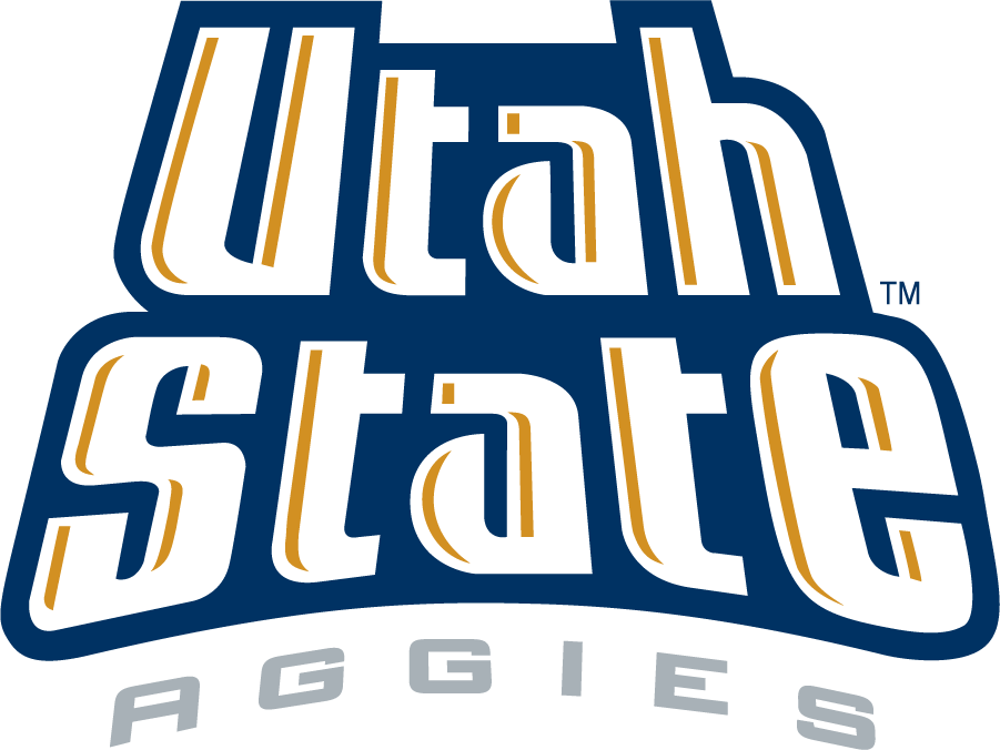 Utah State Aggies 1995-2001 Wordmark Logo v2 DIY iron on transfer (heat transfer)